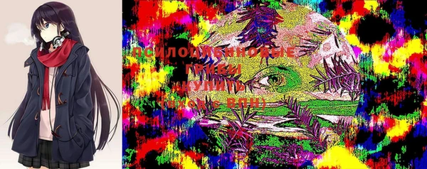 амф Абаза