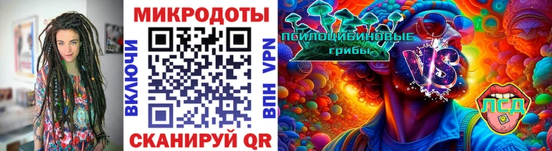 Псилоцибиновые грибы GOLDEN TEACHER  KRAKEN сайт  Никольск  закладки 